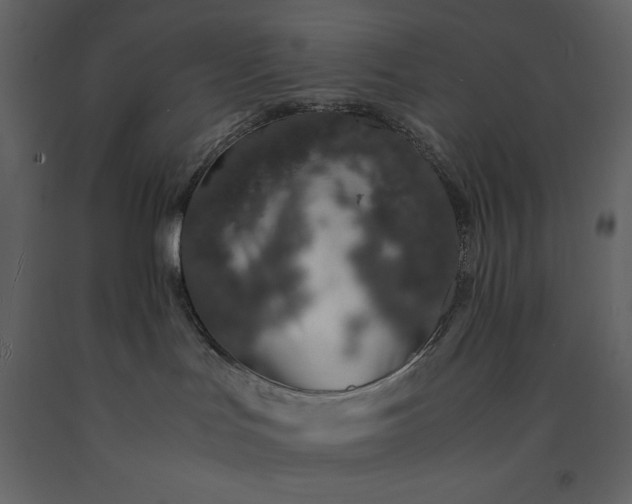 X0000091220047200708231641