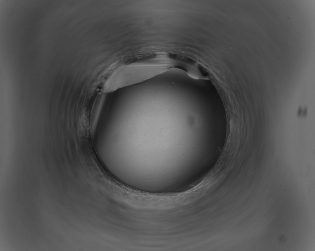 X0000091220048200708231641