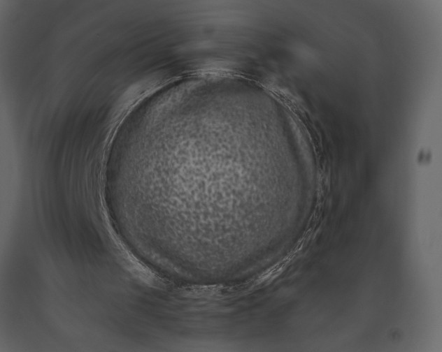 X0000091220049200708231640