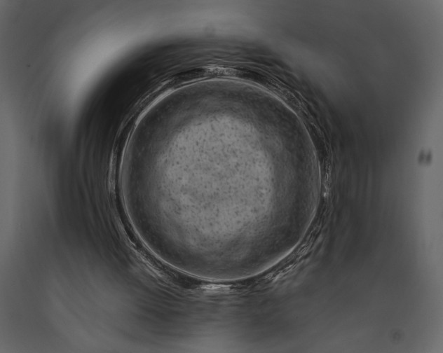 X0000091220052200708231640