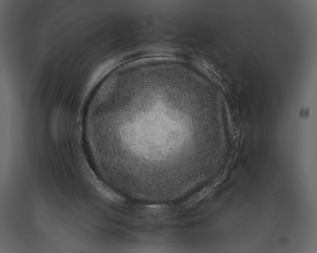 X0000091220053200708231640