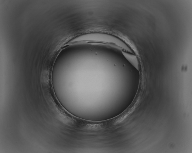 X0000091220057200708231640