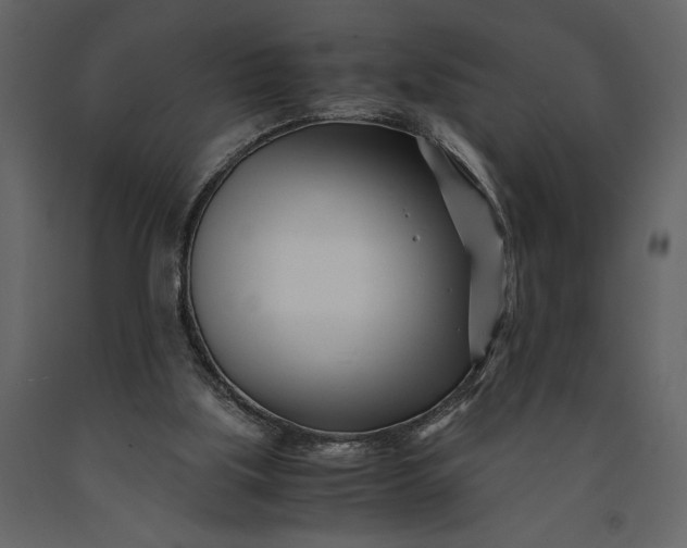 X0000091220059200708231640