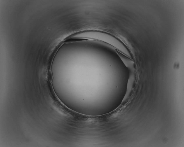 X0000091220060200708231640