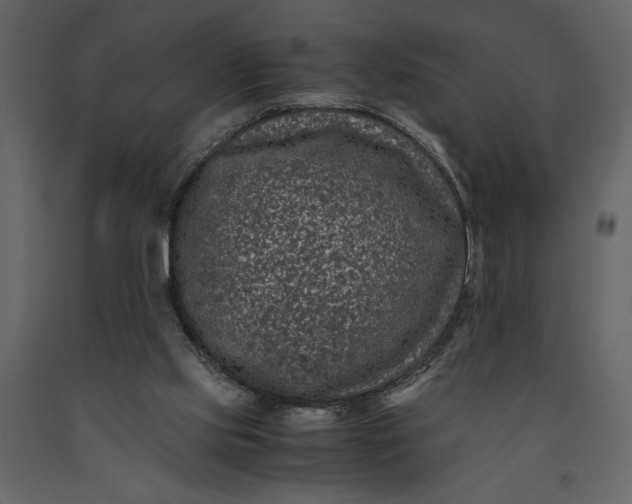 X0000091220061200708231640