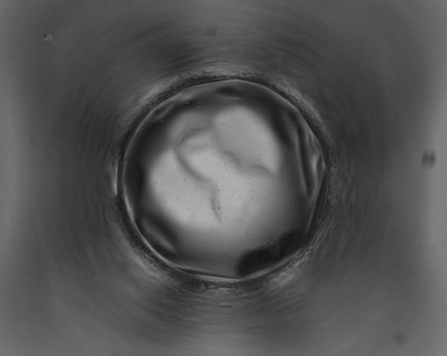 X0000091220062200708231640