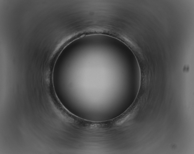 X0000091220064200708231640