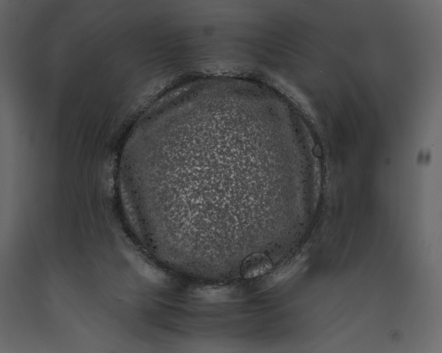 X0000091220065200708231641