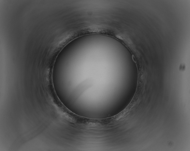 X0000091220066200708231641