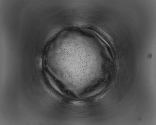 X0000091220067200708231641