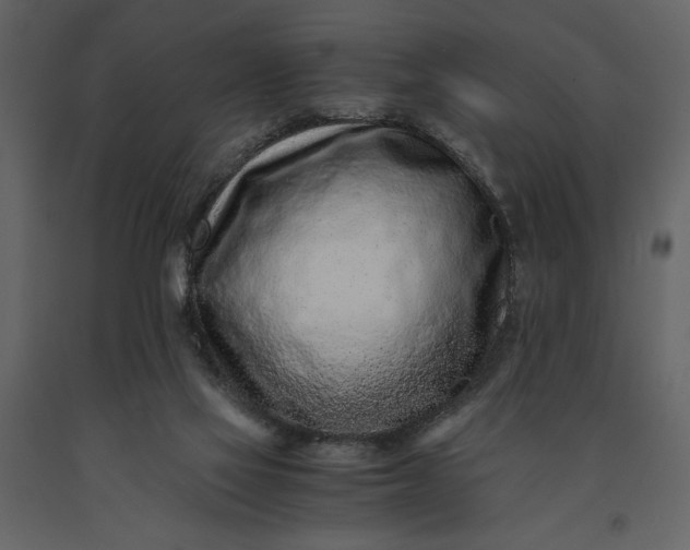 X0000091220069200708231641