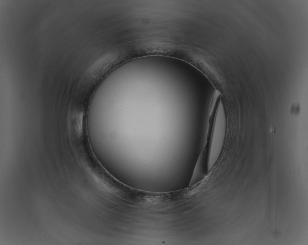 X0000091220070200708231641