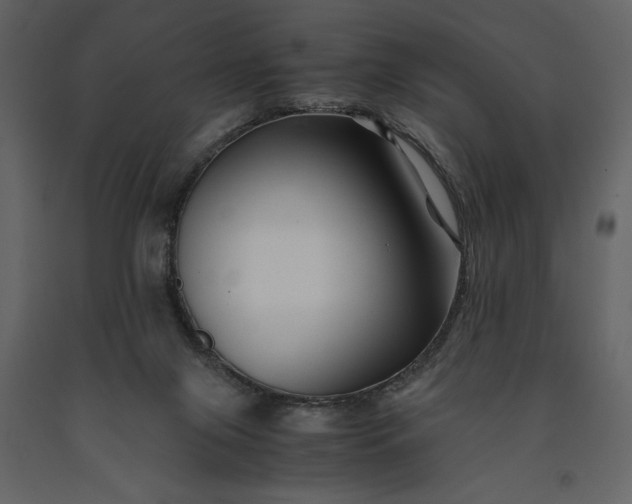 X0000091220071200708231641