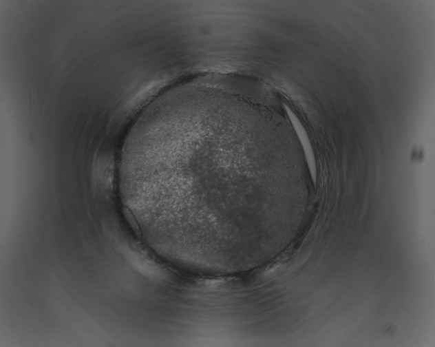 X0000091220072200708231641