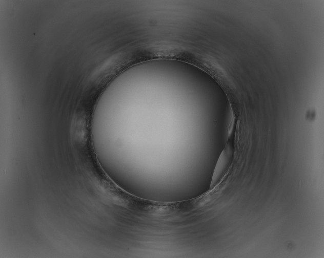 X0000091220074200708231641