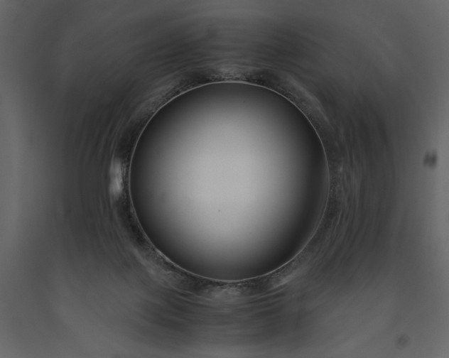 X0000091220075200708231641