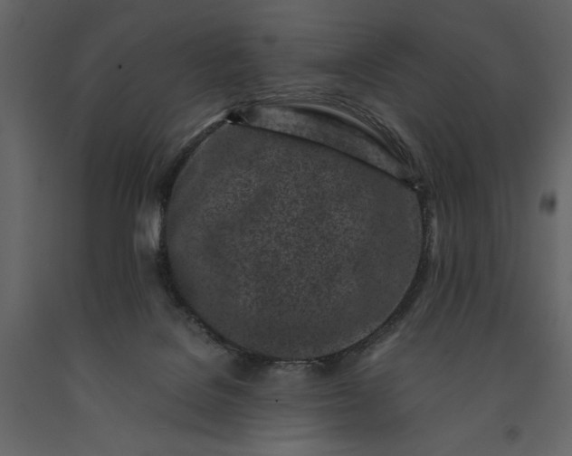 X0000091220076200708231641