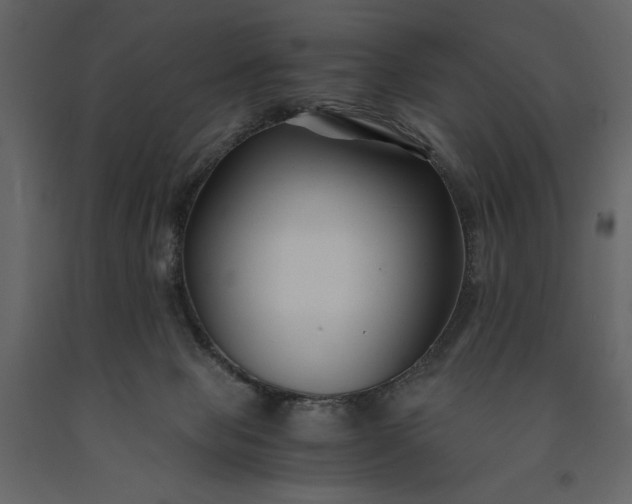 X0000091220077200708231641