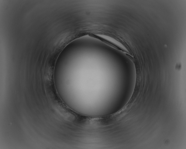 X0000091220078200708231641