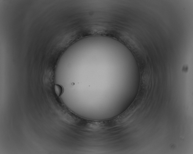 X0000091220079200708231641