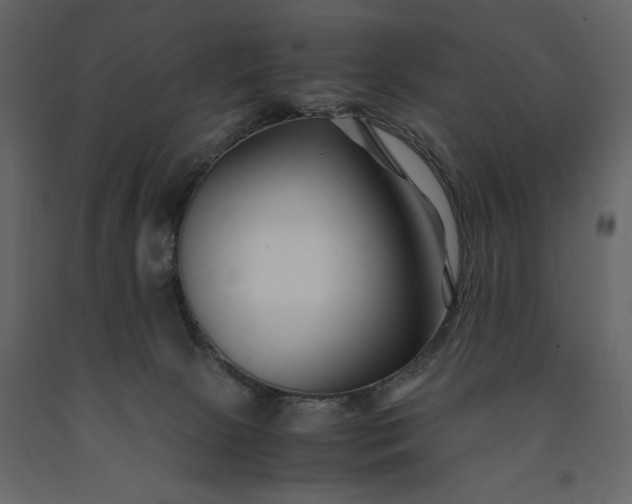 X0000091220081200708231641