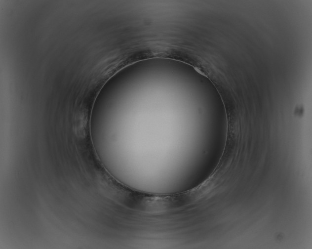 X0000091220082200708231641