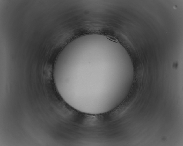 X0000091220083200708231641