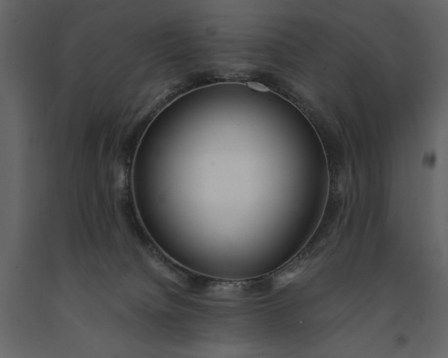 X0000091220084200708231641