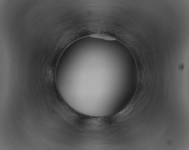 X0000091220086200708231641