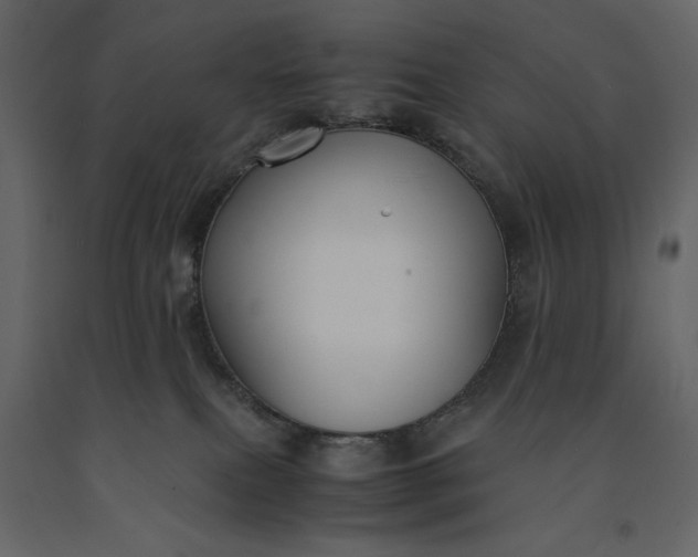 X0000091220087200708231641