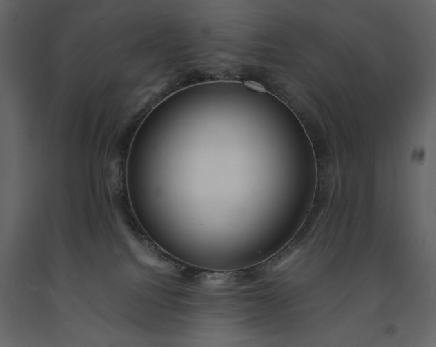 X0000091220088200708231641