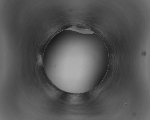 X0000091220089200708231641