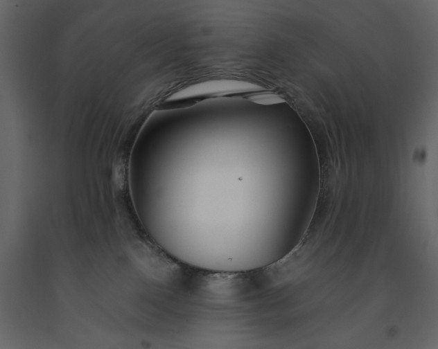 X0000091220090200708231641