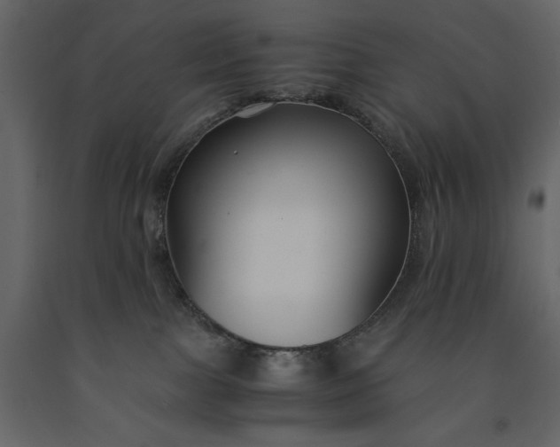 X0000091220091200708231641