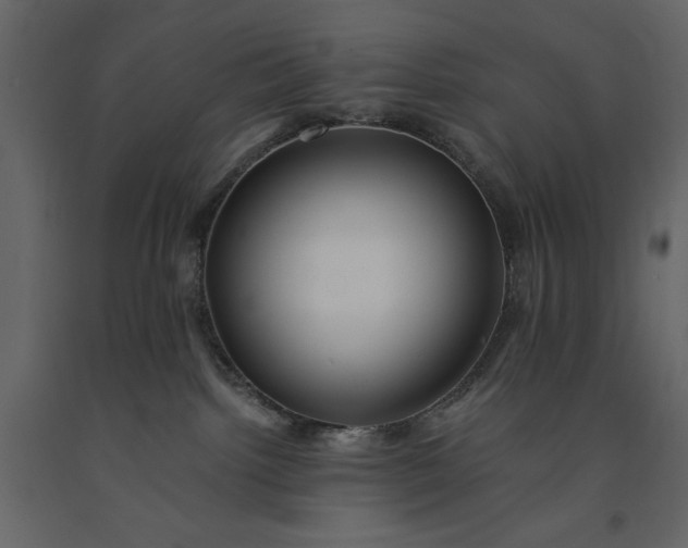 X0000091220092200708231641