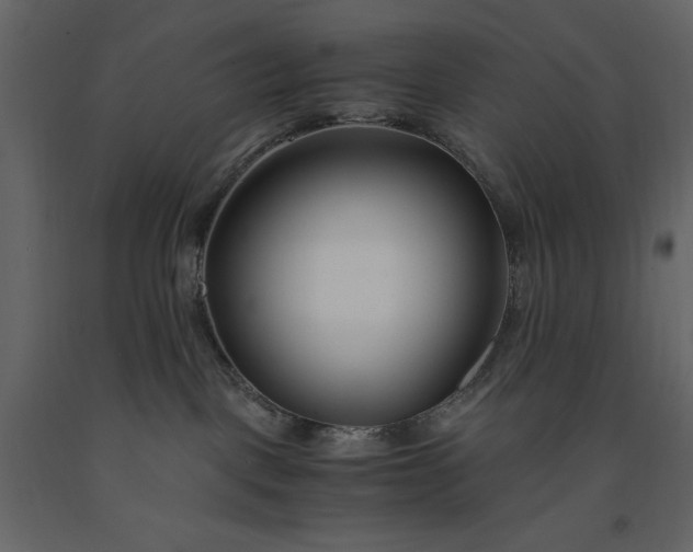 X0000091220093200708231641