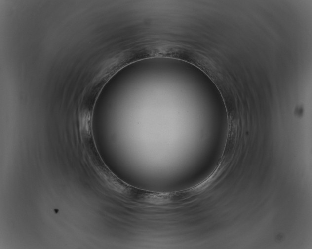 X0000091220094200708231641