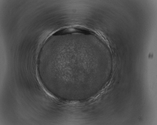 X0000091220097200708231640