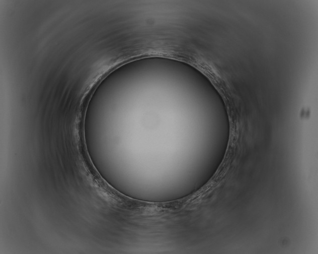 X0000091220098200708231640