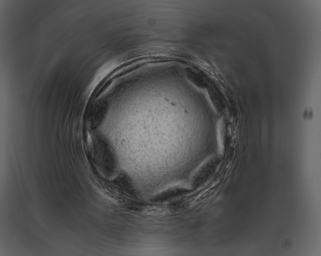 X0000091220099200708231640