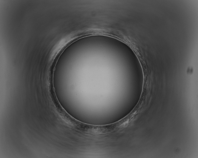 X0000091220103200708231640