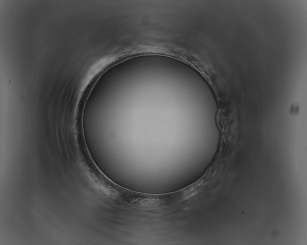 X0000091220104200708231640