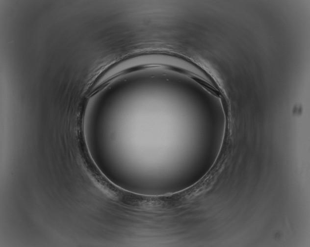 X0000091220105200708231640