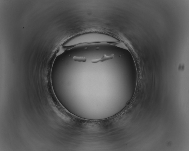 X0000091220106200708231640