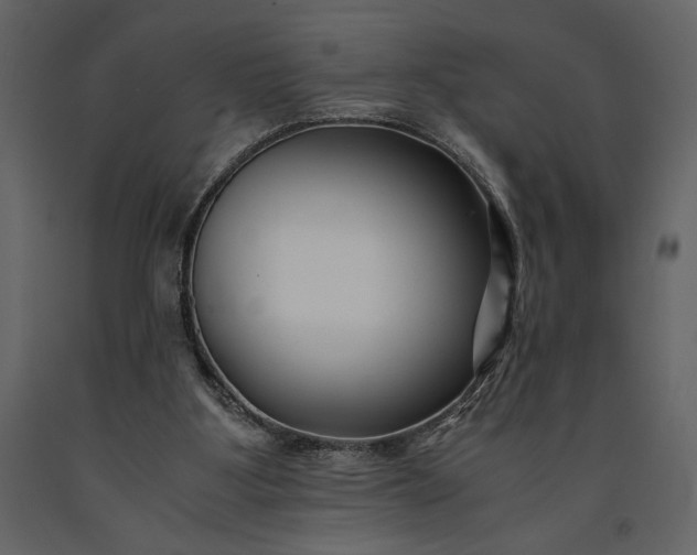 X0000091220107200708231640