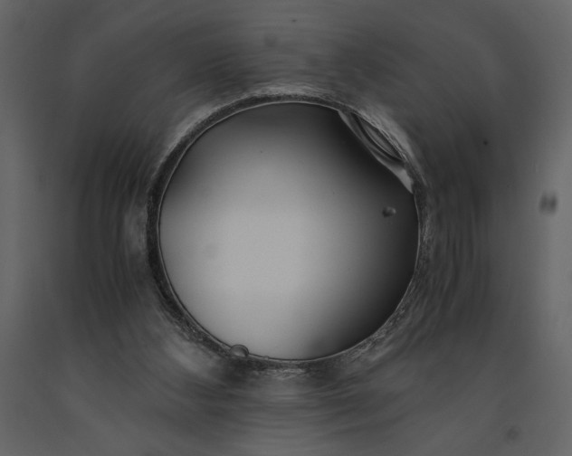 X0000091220108200708231640