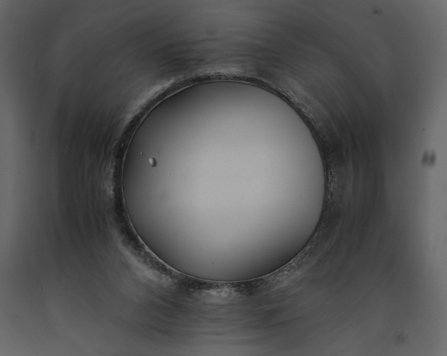 X0000091220112200708231640