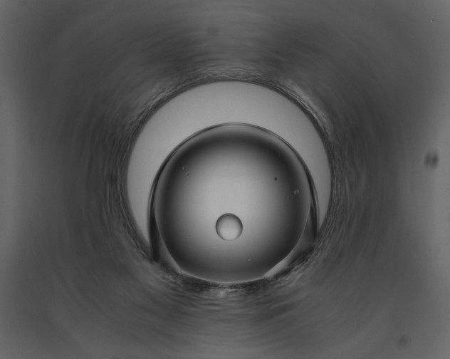 X0000091220117200708231640