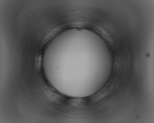 X0000091220118200708231640