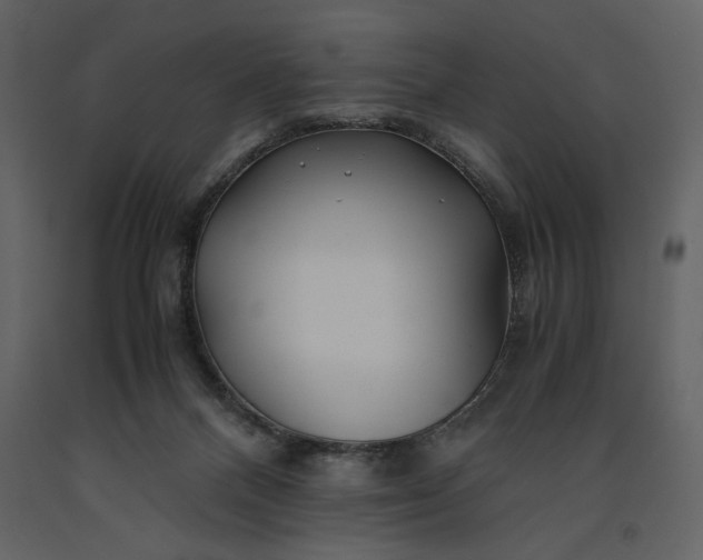 X0000091220120200708231640